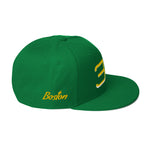 Load image into Gallery viewer, Bird Otto Snapback Hat
