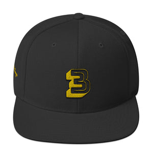 A.D 2020 Champs Otto Snapback Hat
