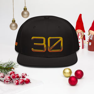 Steph 30 Snap back